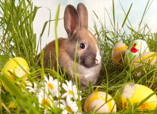 Życzenia Wielkanocne