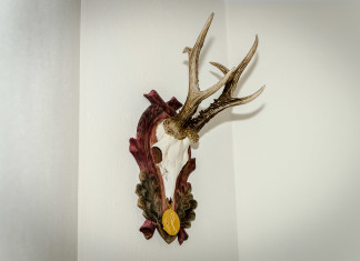 „Do dwóch razy sztuka”