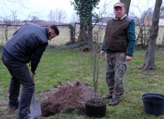 Zasadzenie pamiątkowych dębów w Muzeum Przyrodniczym w Drozdowie