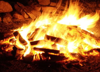 Uroczyste ognisko i wystawa trofeów łowieckich 2019