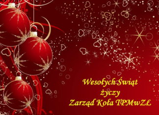 Wesołych Świąt i Szczęśliwego Nowego Roku 2020!