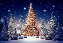 Wesołych Świąt i Szczęśliwego Nowego Roku 2022!