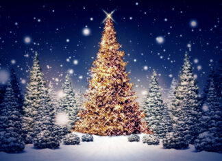 Wesołych Świąt i Szczęśliwego Nowego Roku 2022!