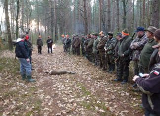 Polowanie wigilijne 2015