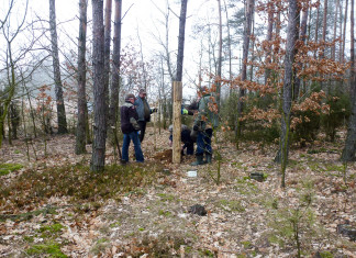 Nowe lizawki na obwodzie 153