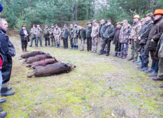 Polowanie Hubertowskie 2016